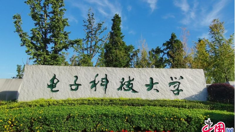 汽车电子PCBA组装加工：揭秘关键步骤与质量控制