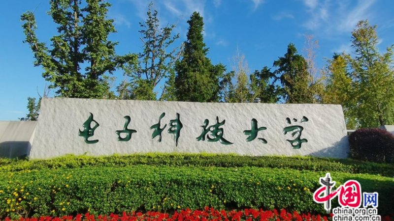芯片采购报价单模板：构建透明采购的基石